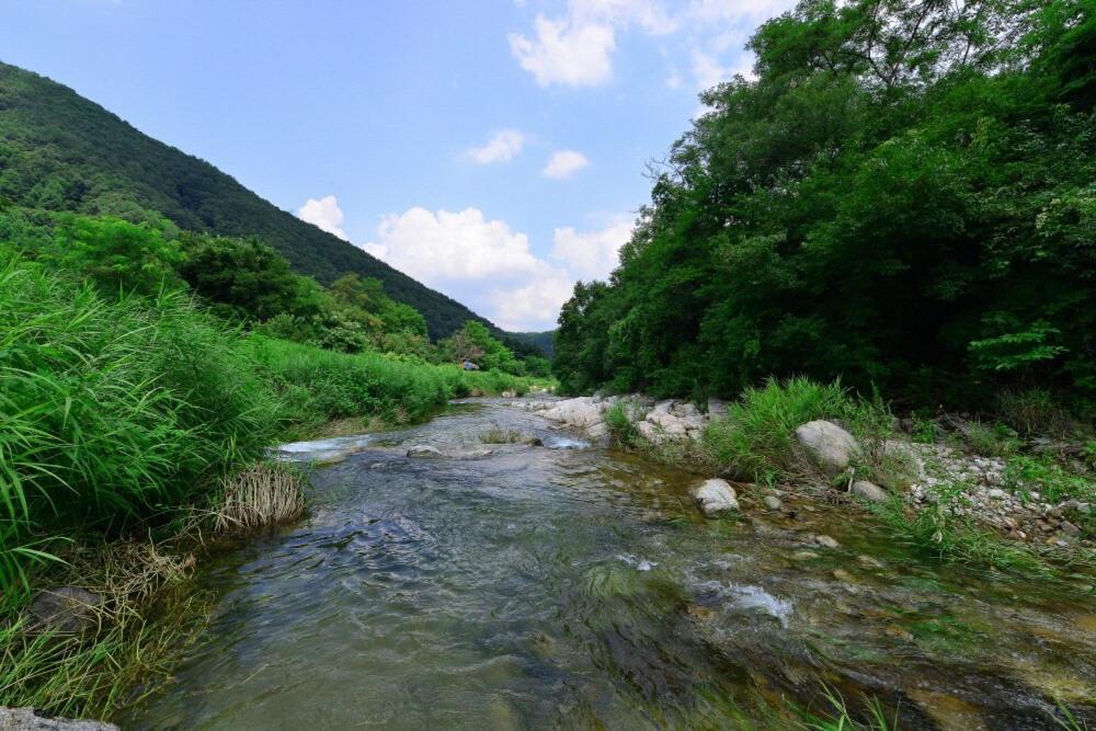 Hwacheon Tomato Pension 外观 照片