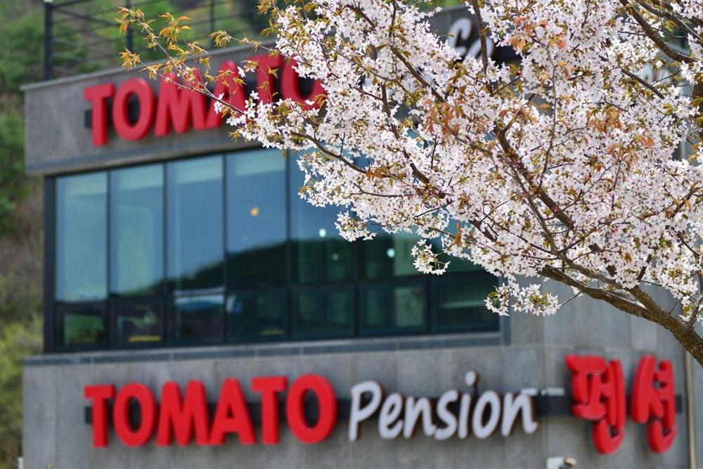 Hwacheon Tomato Pension 外观 照片